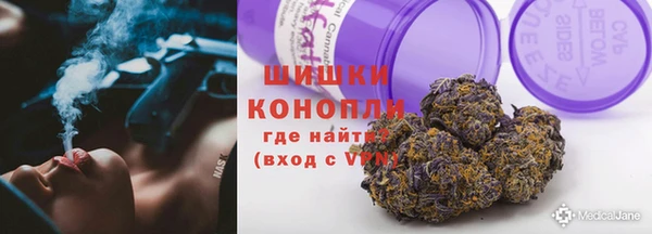 ПСИЛОЦИБИНОВЫЕ ГРИБЫ Алзамай