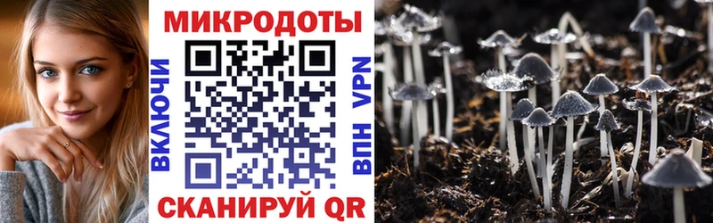 это Telegram  Тайшет  Псилоцибиновые грибы GOLDEN TEACHER  купить  