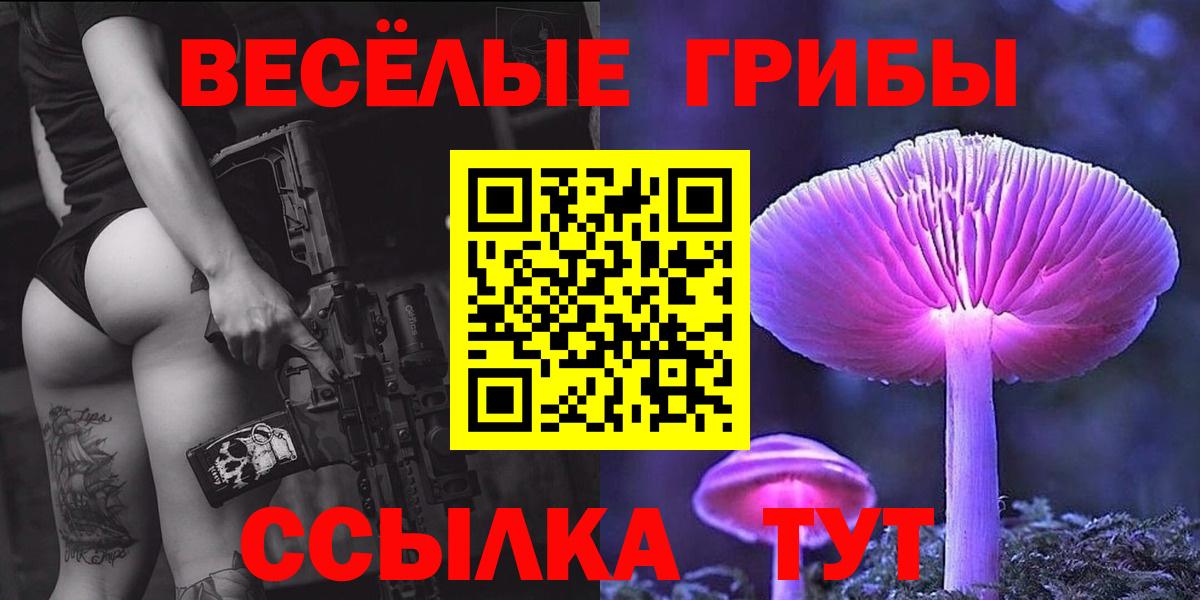 Тайшет  Псилоцибиновые грибы ЛСД  Вход с VPN  Псилоцибиновые грибы Psilocybe 