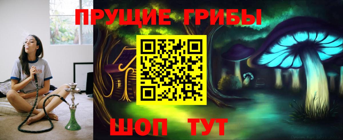 Псилоцибиновые грибы мицелий Тайшет